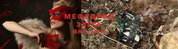 каннабис Богданович