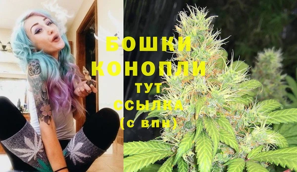 каннабис Богданович