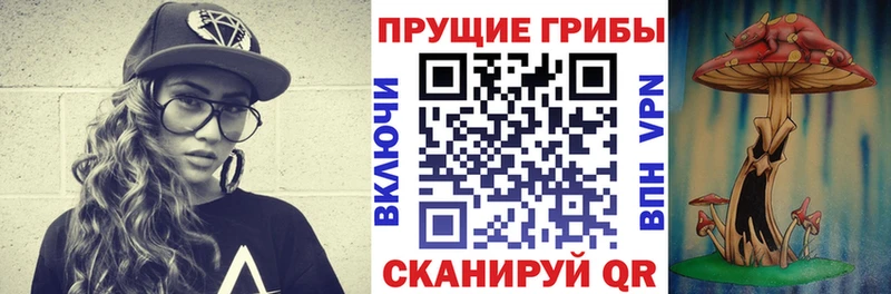 Галлюциногенные грибы прущие грибы  купить наркотик  KRAKEN ссылки  Кольчугино 